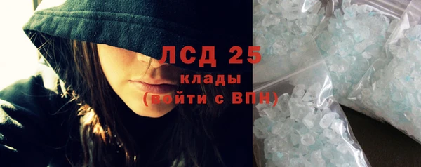 стафф Вяземский