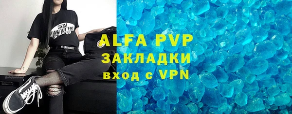 стафф Вяземский
