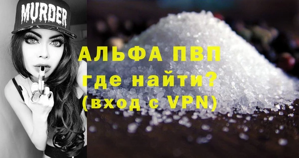 стафф Вяземский