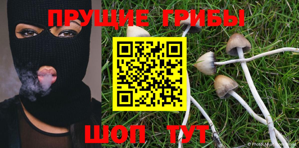 Галлюциногенные грибы Cubensis Верхний Уфалей