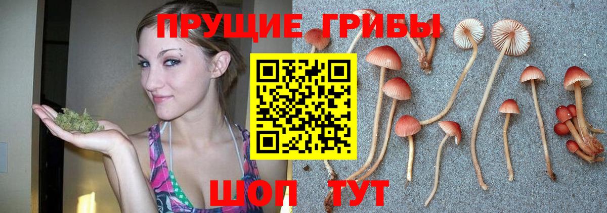 Галлюциногенные грибы мицелий  Вход с VPN  Верхний Уфалей 