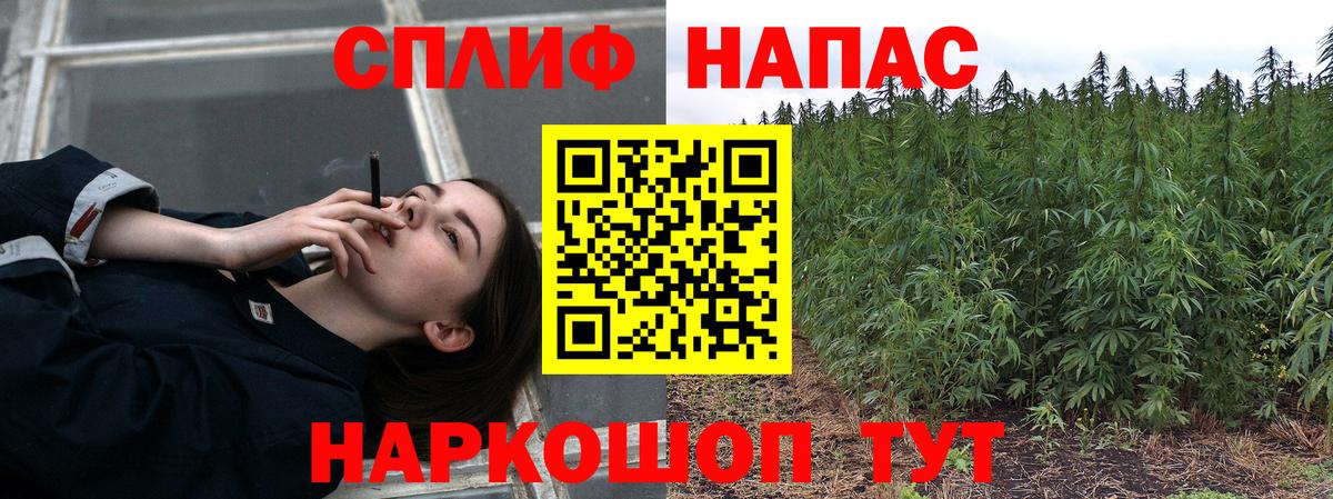 Бошки Шишки марихуана  Вход с VPN  Верхний Уфалей  Шишки марихуана гибрид 